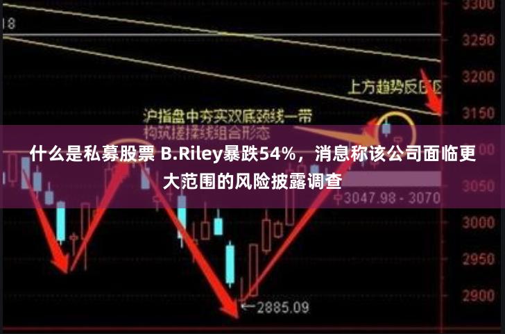 什么是私募股票 B.Riley暴跌54%，消息称该公司面临更大范围的风险披露调查