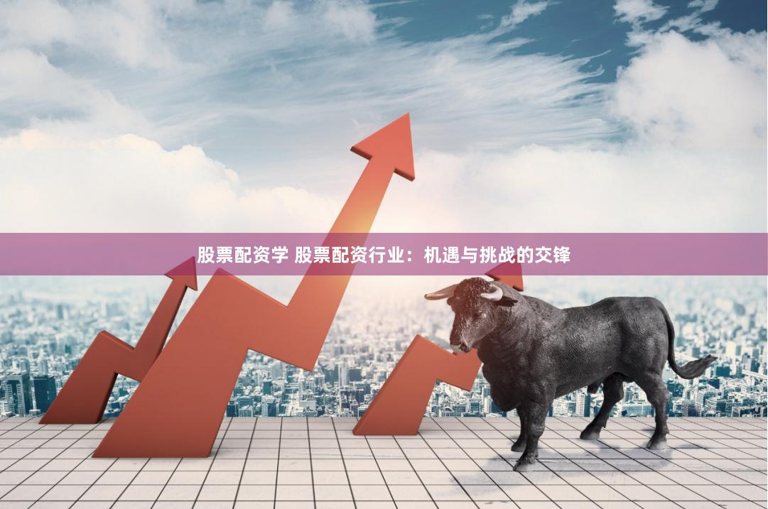 股票配资学 股票配资行业：机遇与挑战的交锋