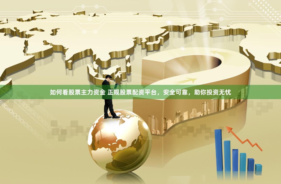 如何看股票主力资金 正规股票配资平台，安全可靠，助你投资无忧